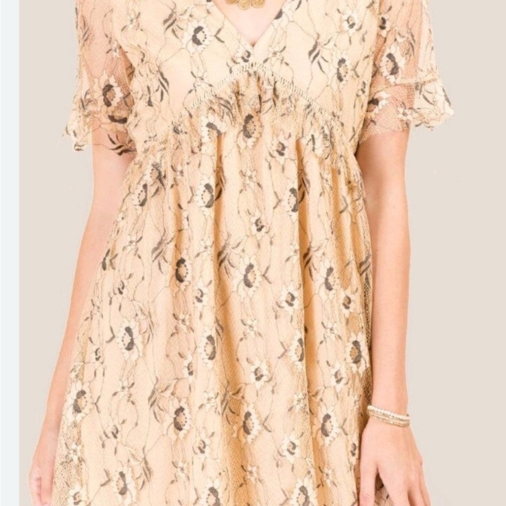 Francesca's Floral Lace Midi Shift Dress Beige‎ Black Summer Garden Size Large